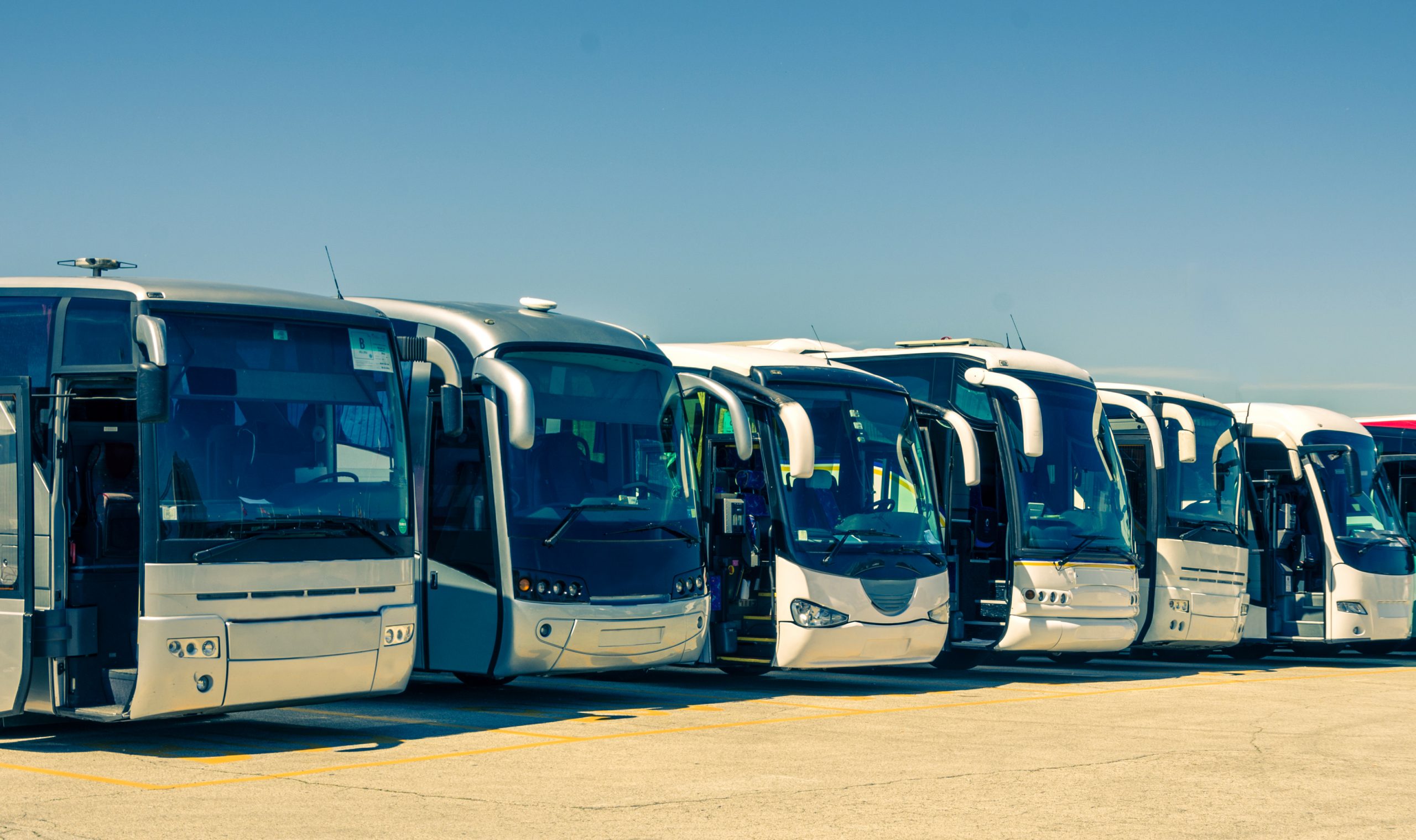Touristic buses in a row